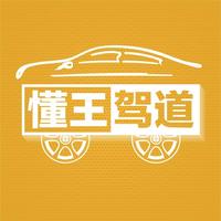 懂王驾道头像