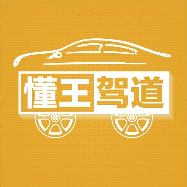 懂王驾道头像