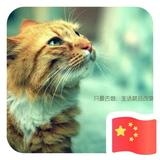 易速聘人力罗焕龙头像