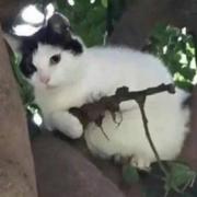 桔子260的个人资料头像