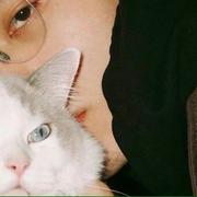 WaitingChen的个人资料头像