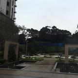 勇往直前104370812686头像