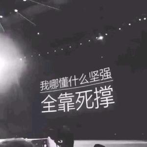 哈哈笑集中营头像