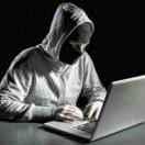 dcowl的个人资料头像