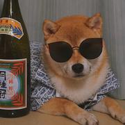 _莫西莫西的个人资料头像