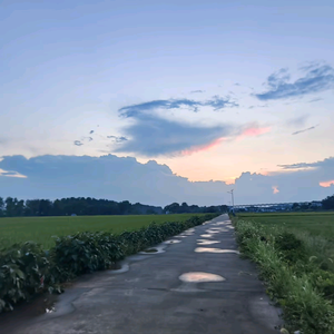 胡先生日常和工作头像