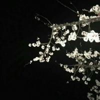 GangTie加鲁鲁头像