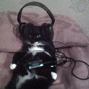 Jseeza的个人资料头像