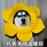 难受啊难瘦头像