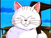 wm的个人资料头像