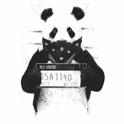 音乐的个人资料头像