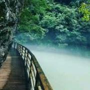 姑射仙人的个人资料头像