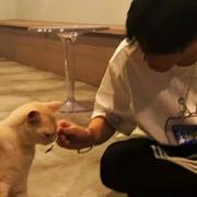 柠檬先生的个人资料头像