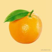 九月红橙的个人资料头像