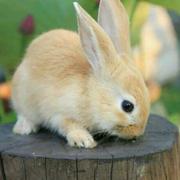 myily的个人资料头像