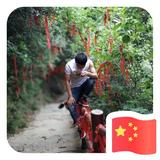 对方正在输入MyHeart头像