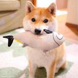 自渡头像