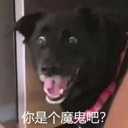 Object_asslgn的个人资料头像