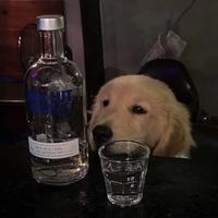 梦想RS7的哈啰单车主头像