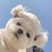 岩酱的个人资料头像