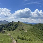 归来453的个人资料头像