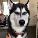 Terence孫p的个人资料头像