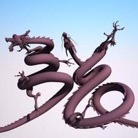 青冈不是树头像