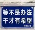 陈道长zb头像