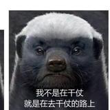勇者盖州2L头像