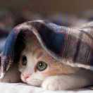 价位六的个人资料头像