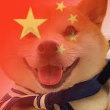 二乐Tiger头像