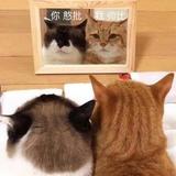 東方月初头像