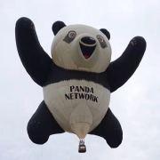 三头猪头三的个人资料头像