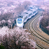 雪梅888头像