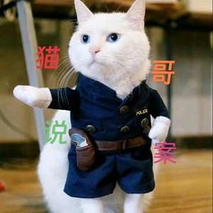 猫哥说案头像