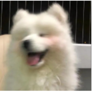 中杯可乐多加冰