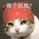 冰与火845头像