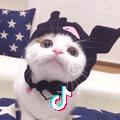 优质文学头像