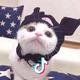 优质文学头像