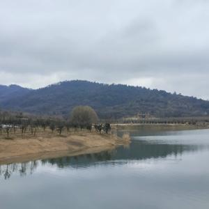 风雨中凌乱头像