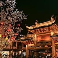 单纯小羊oAq头像