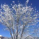 北峯的个人资料头像