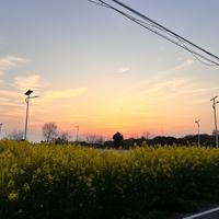 zjl509头像