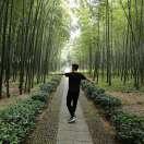 远方风笛的个人资料头像