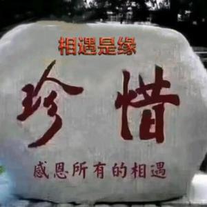 哈罗Y头像