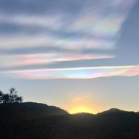 生物安老师头像