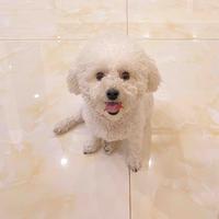 木有名字的名字222头像