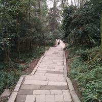 少卿852头像