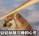 红旗HS5天下无敌头像