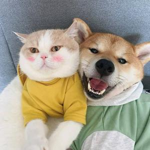 博学多才老公主头像